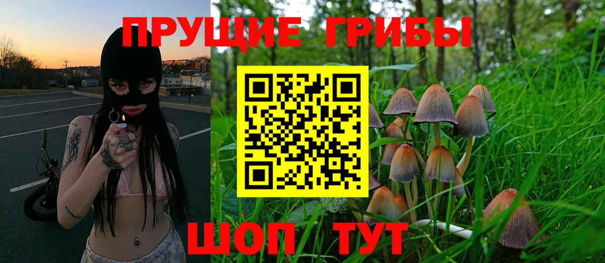 Галлюциногенные грибы Magic Shrooms Истра